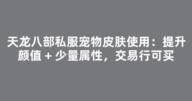 天龙八部私服宠物皮肤使用：提升颜值 + 少量属性，交易行可买